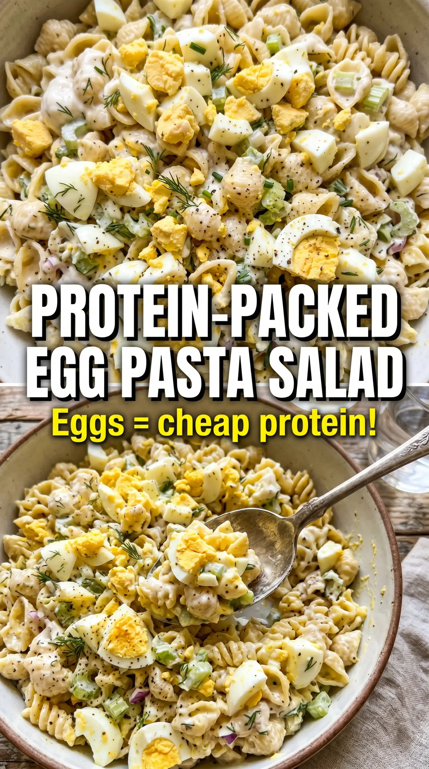 Egg Salad Pasta Salad creamy dill
