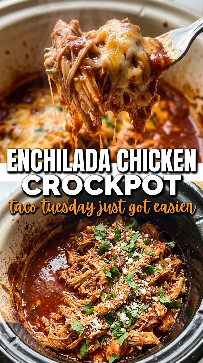 Crockpot Chicken Enchiladas saucy cheesy Tex-Mex