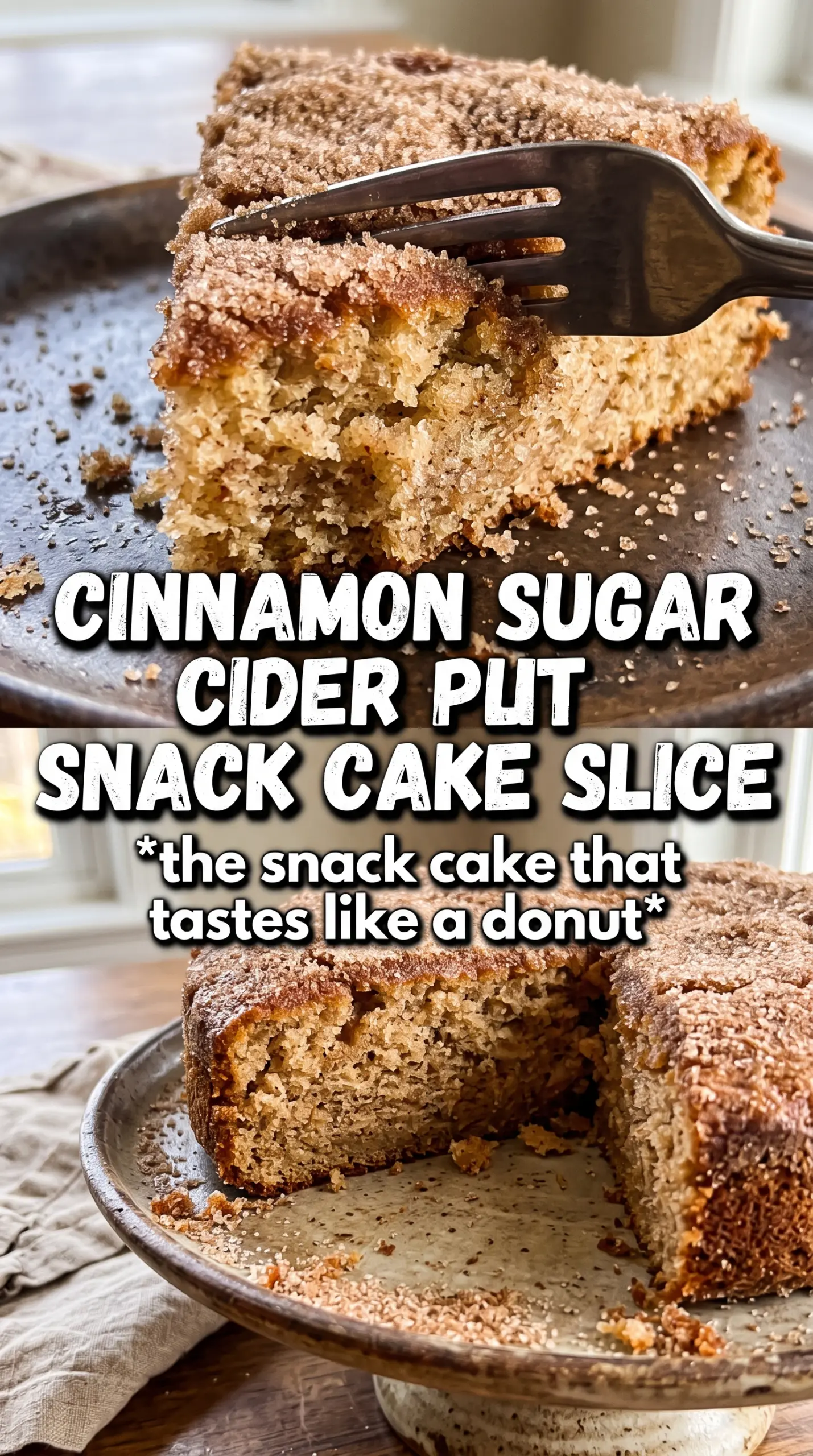 Apple Cider Donut Snack Cake, cinnamon sugar, tender crumb